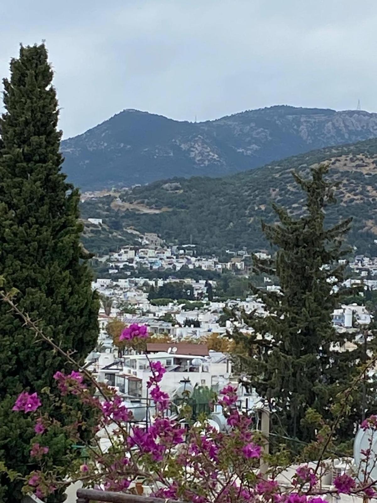 Izan Villa Bakis Apartments Bodrum Exterior photo